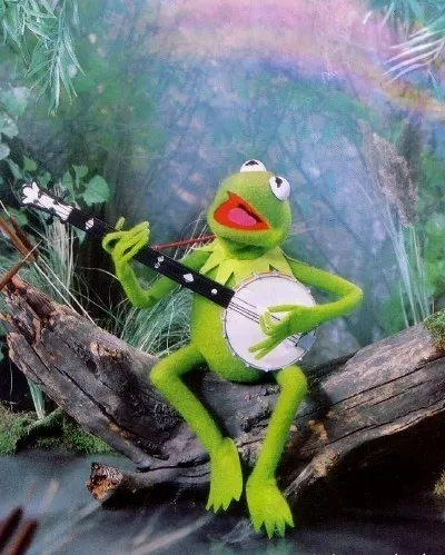 Kermit The Frog 